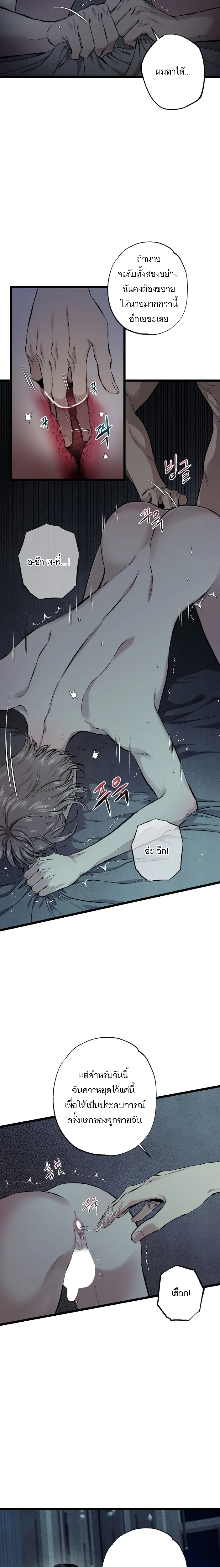 Wilderness หน้า 13