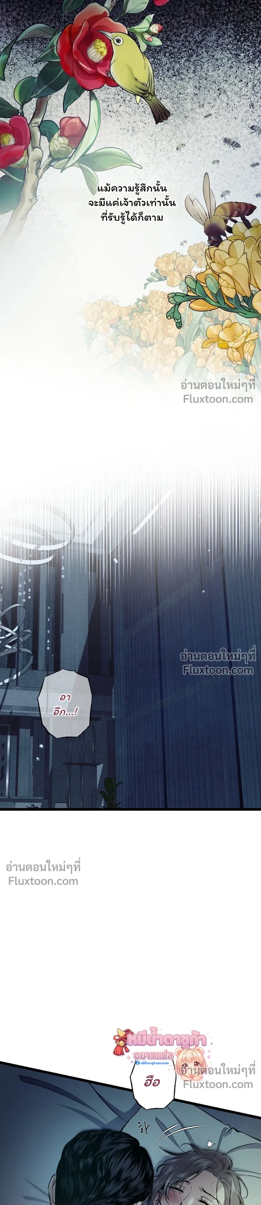 Wilderness หน้า 2