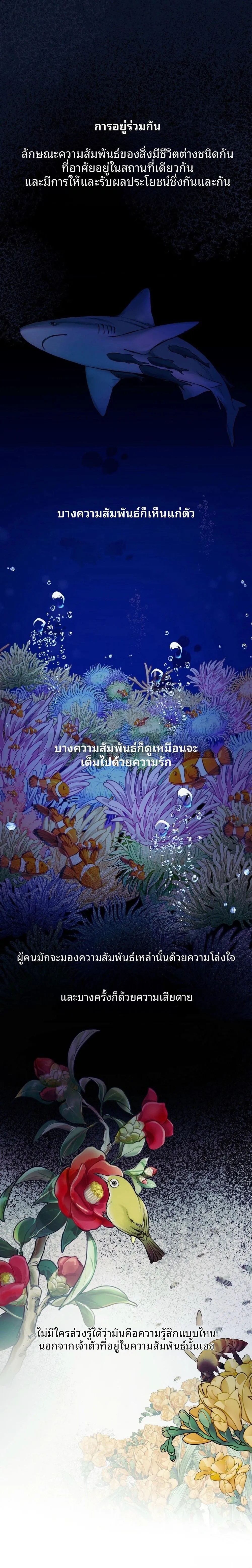 Wilderness หน้า 1