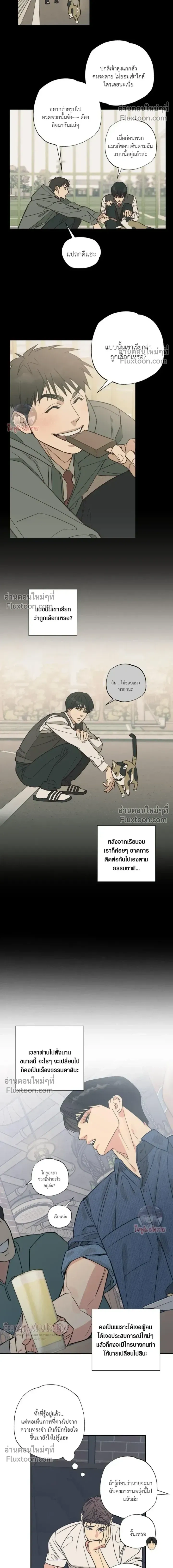 The Heart That Chooses You หน้า 6