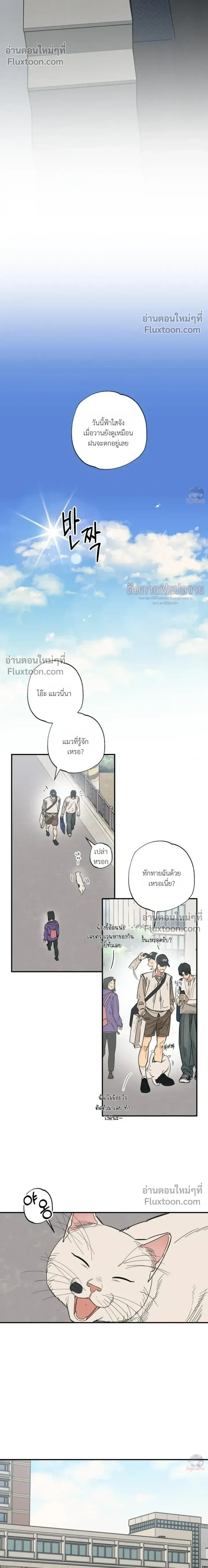 The Heart That Chooses You หน้า 12