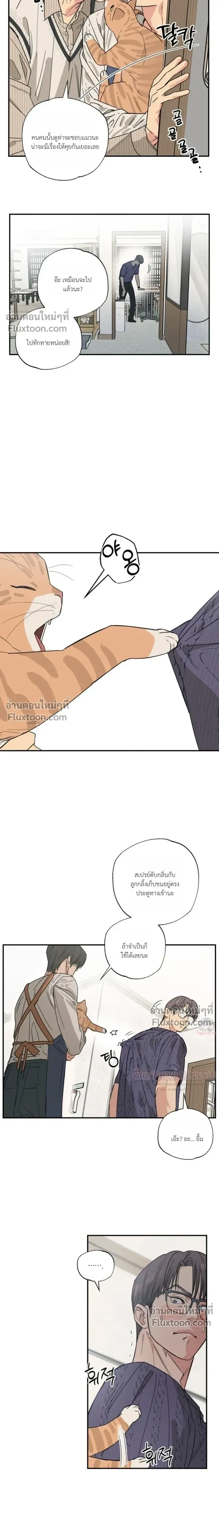 The Heart That Chooses You หน้า 13