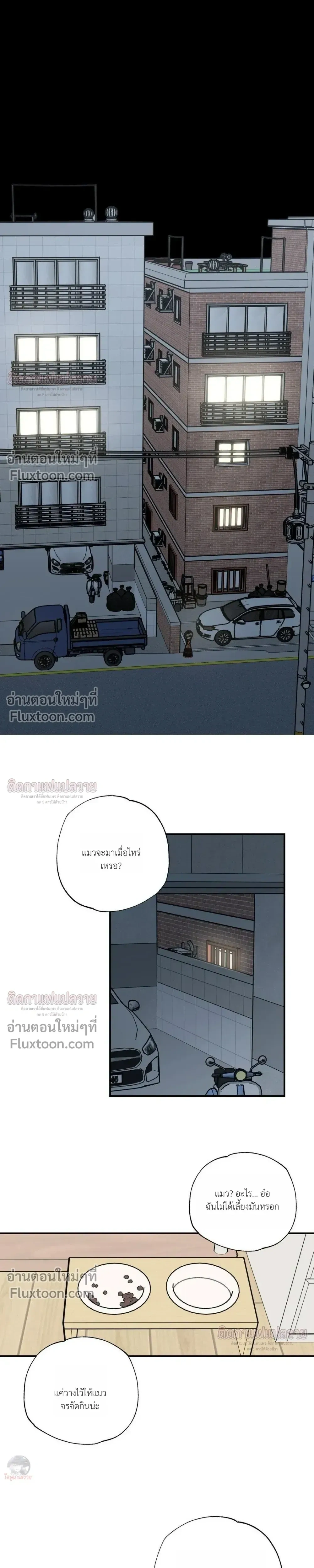 The Heart That Chooses You หน้า 19