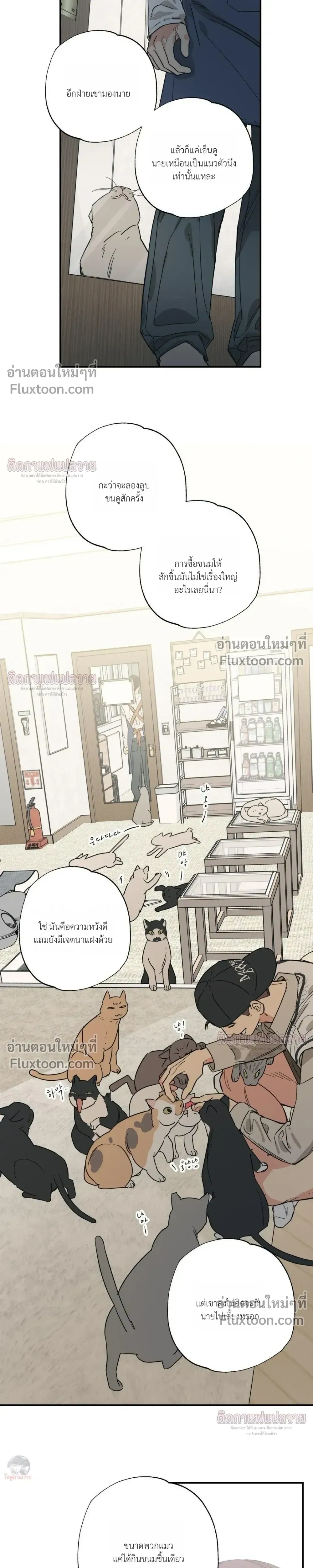 The Heart That Chooses You หน้า 4