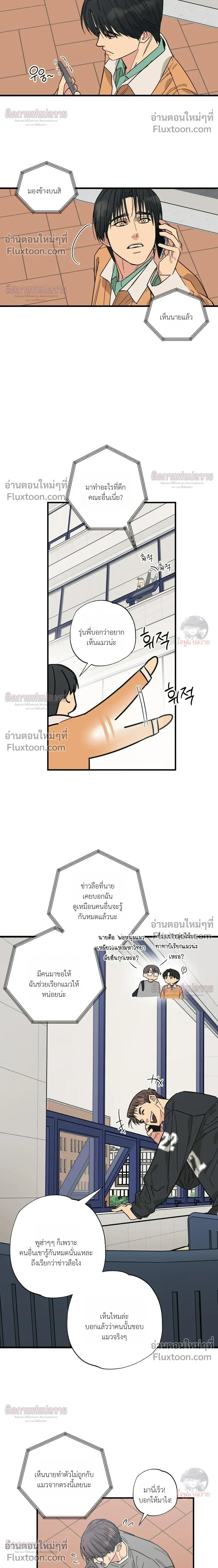 The Heart That Chooses You หน้า 14