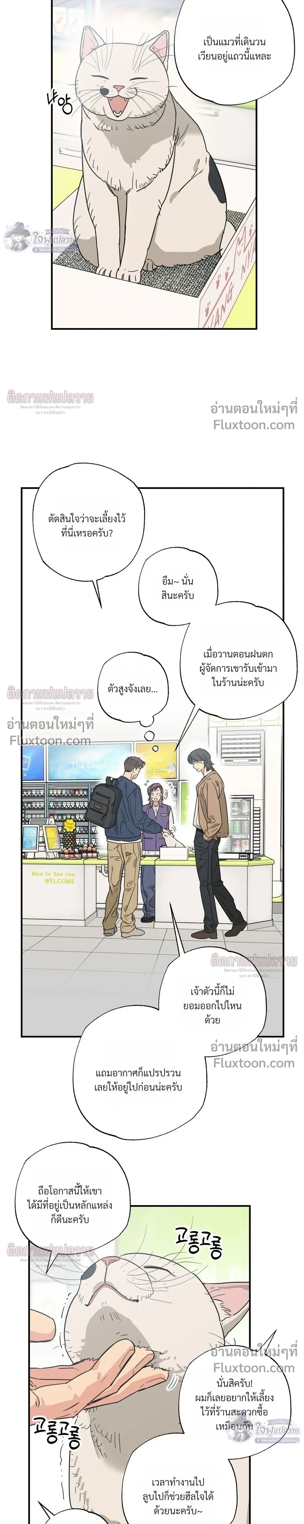 The Heart That Chooses You หน้า 13