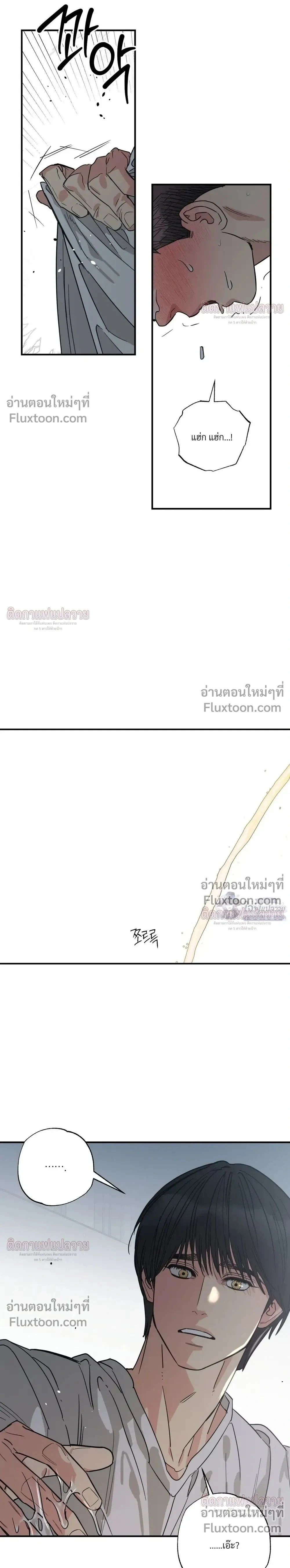 The Heart That Chooses You หน้า 17