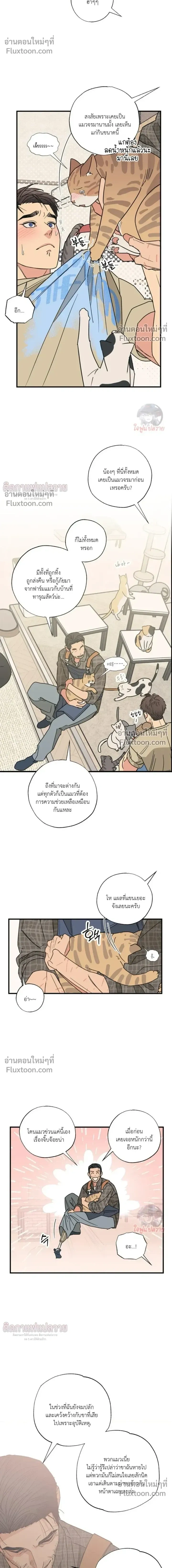 The Heart That Chooses You หน้า 6