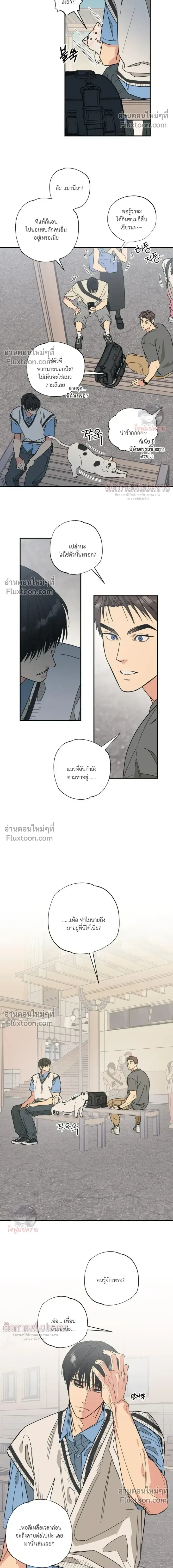The Heart That Chooses You หน้า 12
