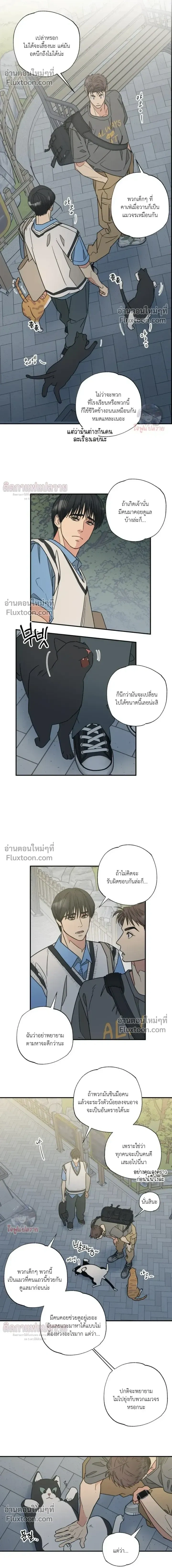 The Heart That Chooses You หน้า 6