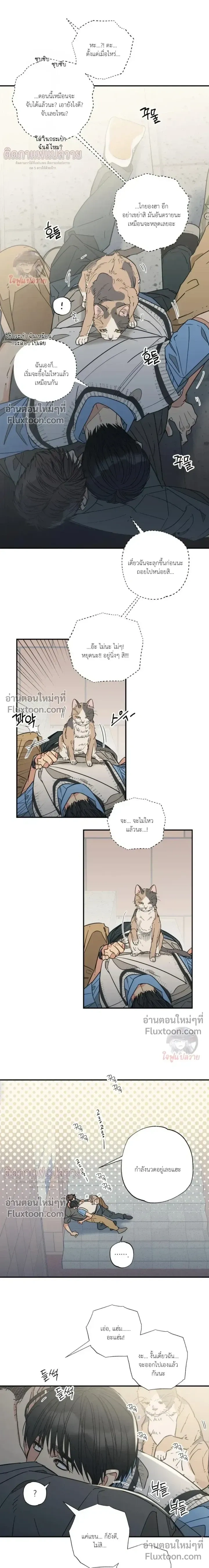 The Heart That Chooses You หน้า 5