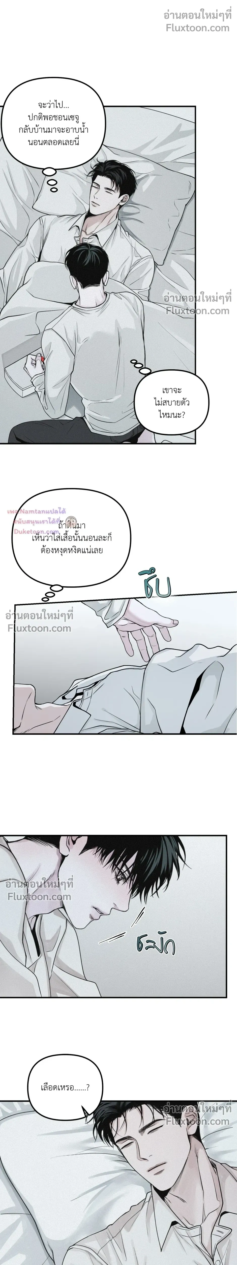 Projection หน้า 11