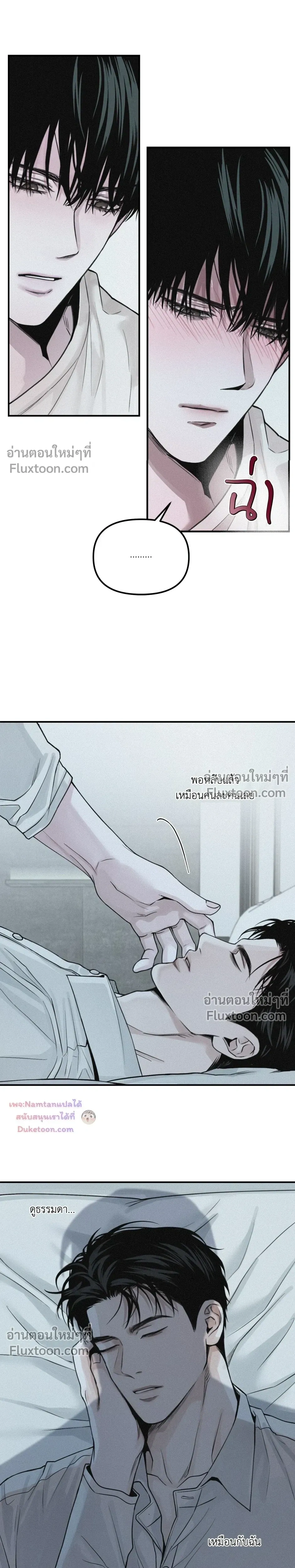 Projection หน้า 13