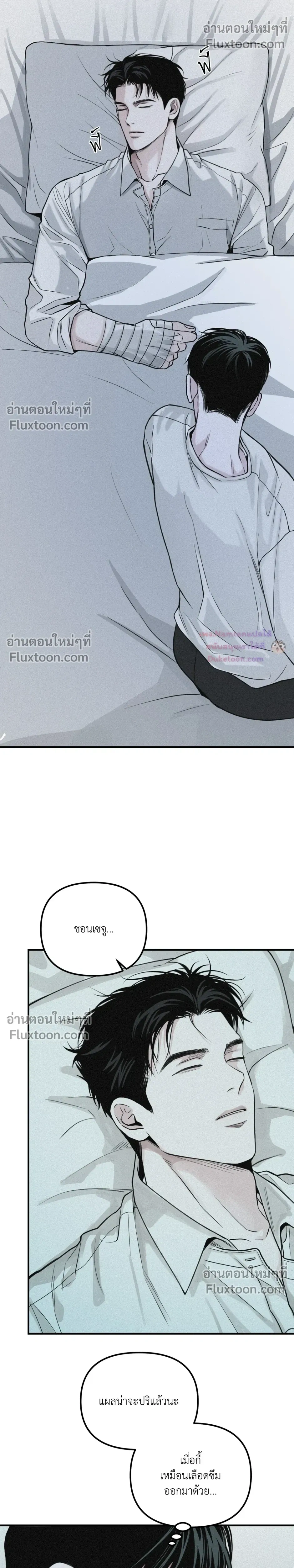 Projection หน้า 8
