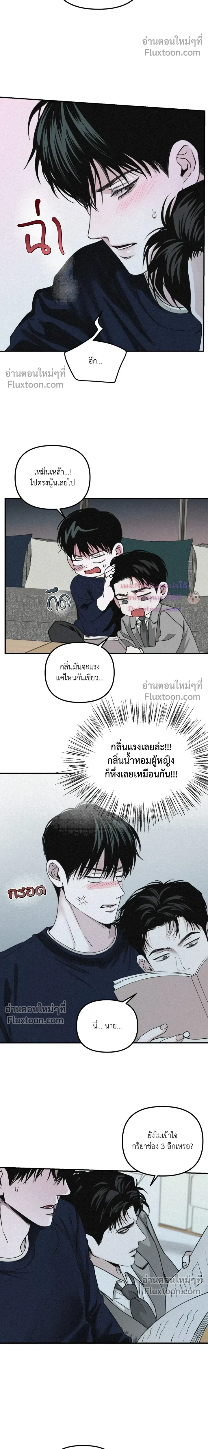 Projection หน้า 14
