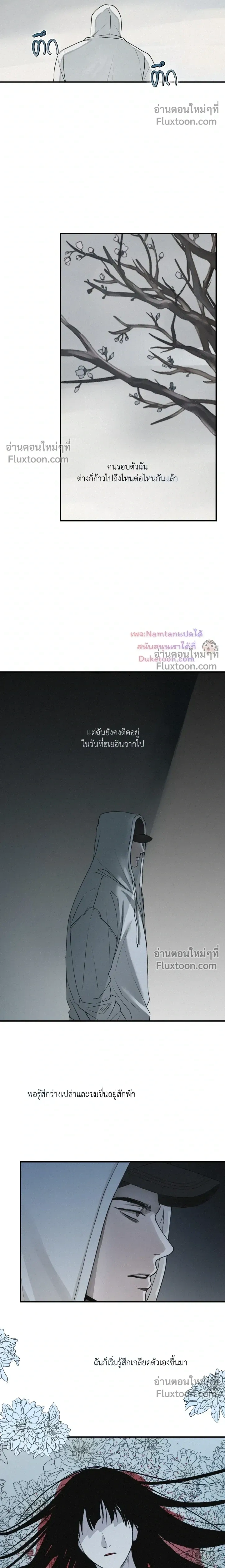 Projection หน้า 8