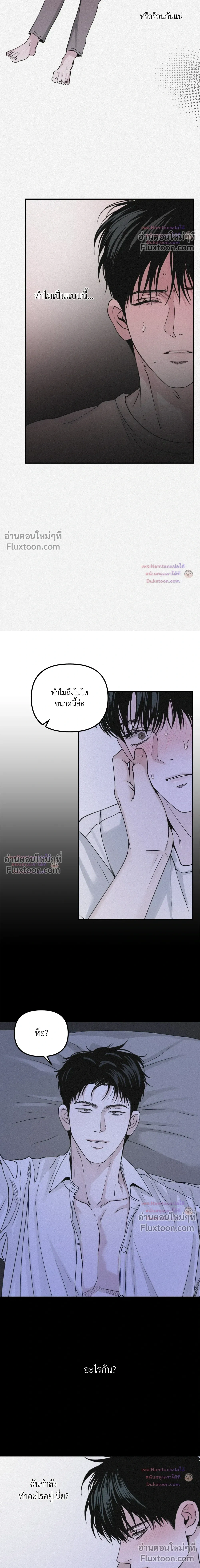 Projection หน้า 8