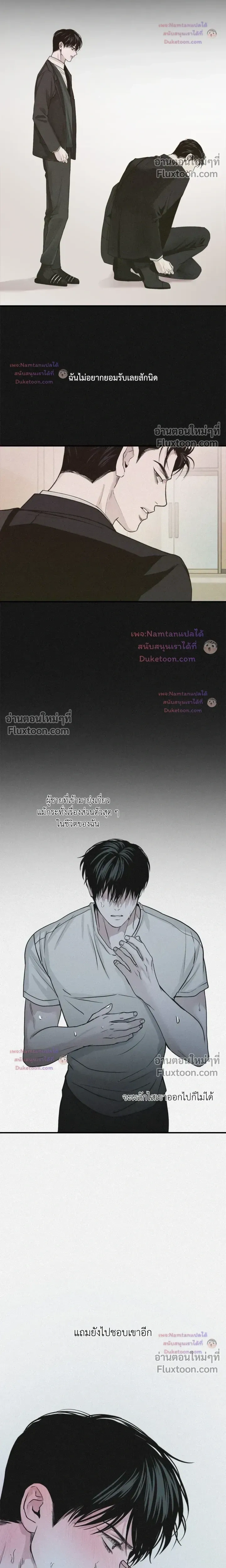 Projection หน้า 14