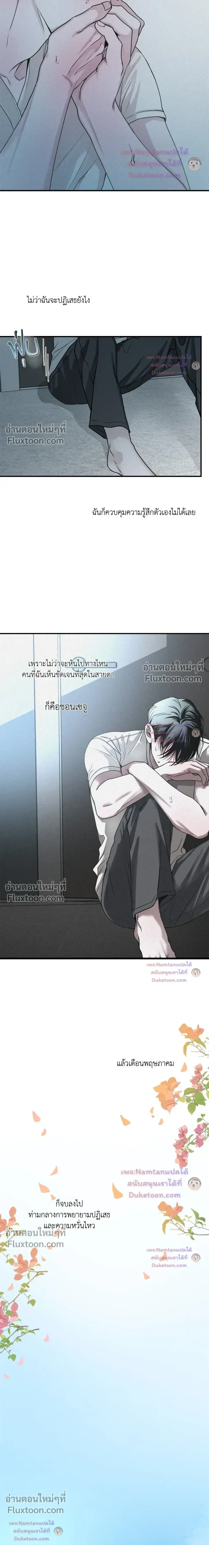 Projection หน้า 15