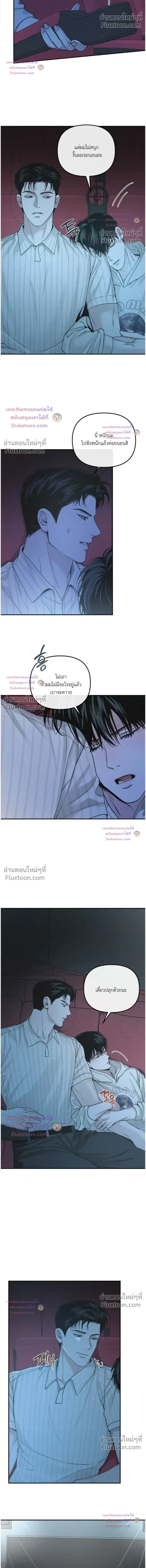 Projection หน้า 17