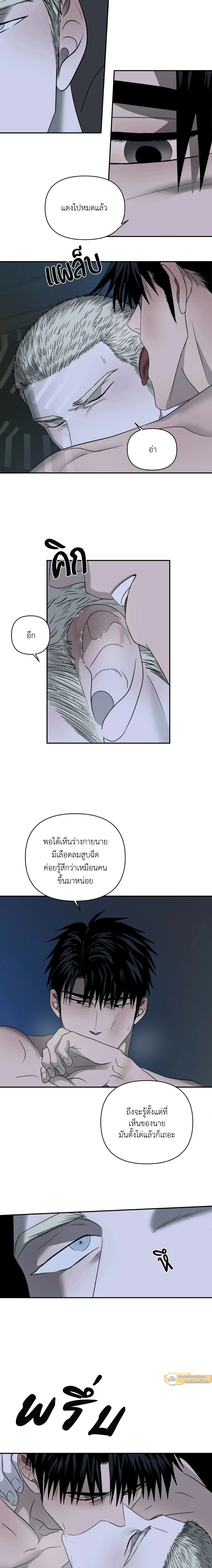 ShutLine หน้า 11