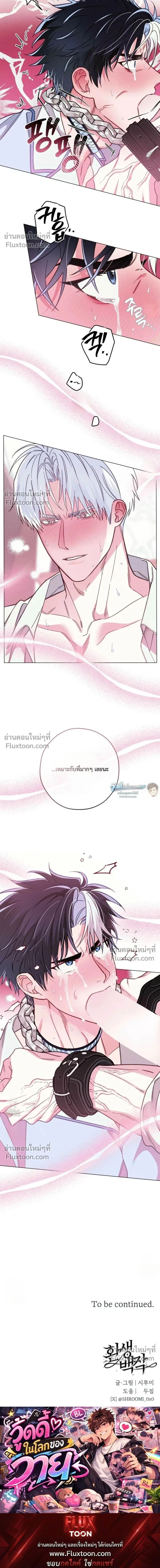 The Reincarnated Count หน้า 13