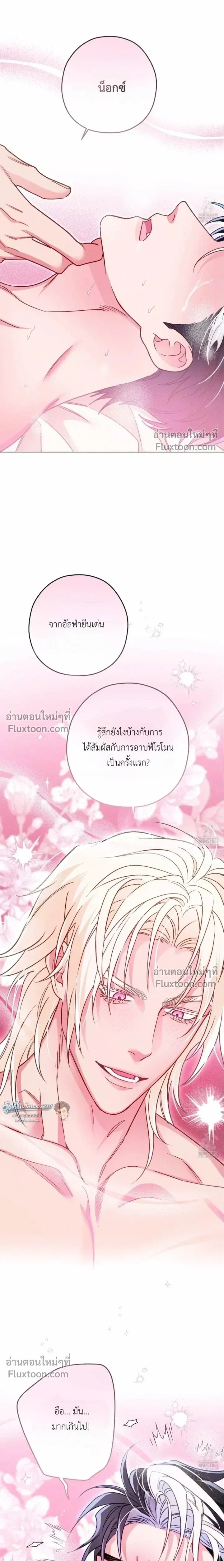 The Reincarnated Count หน้า 13