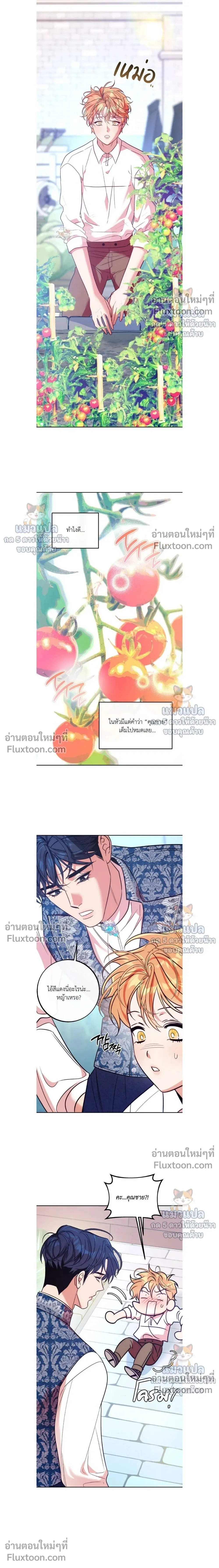 Orca Mansion หน้า 13