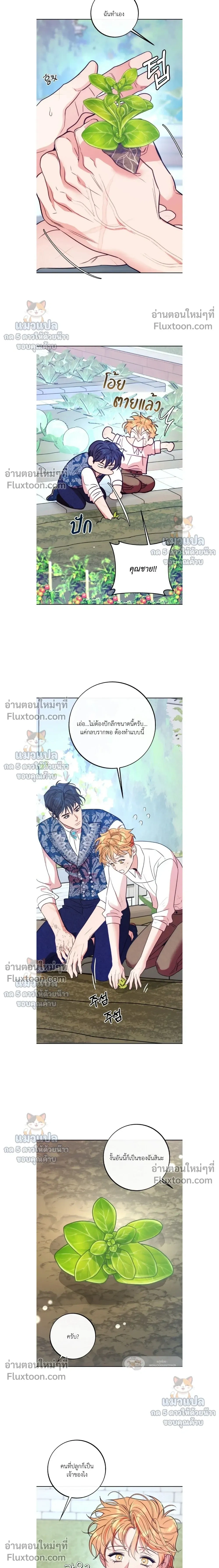 Orca Mansion หน้า 16