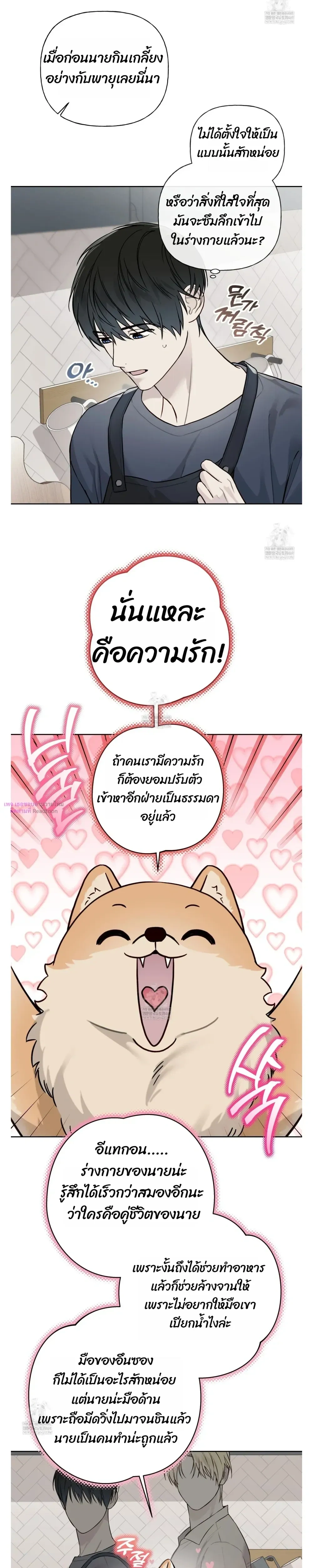 Guiding Hazard หน้า 3