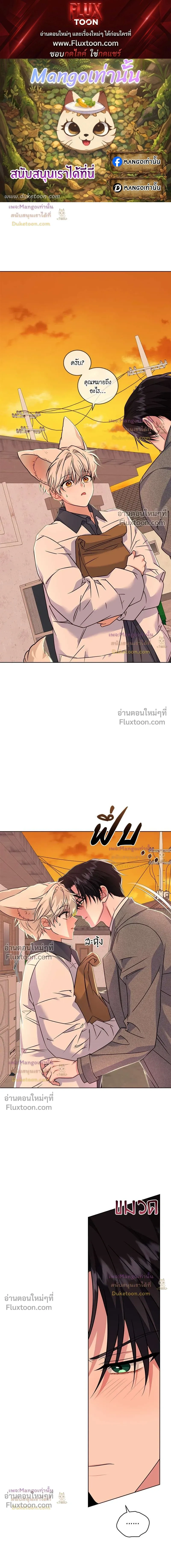 Flynn's Sweet Potion หน้า 1