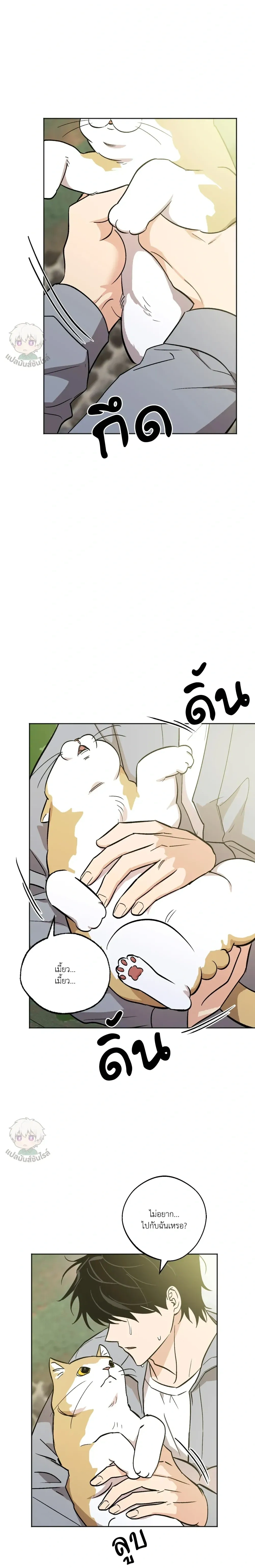 The Rite of Prayer หน้า 12