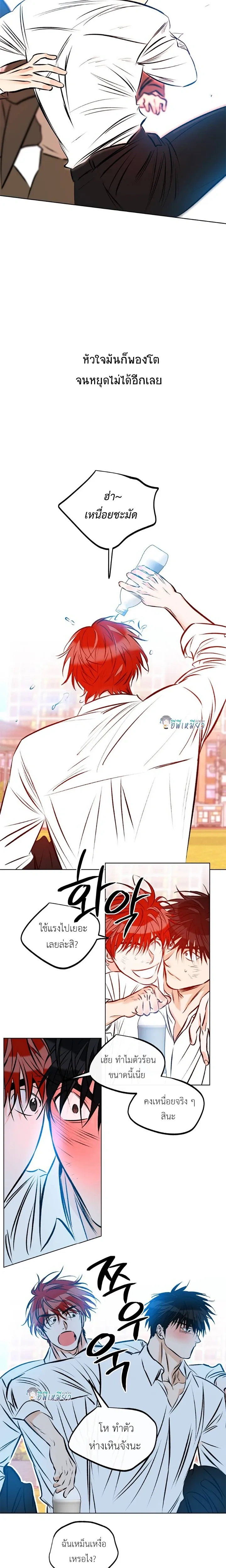 Love Order หน้า 13