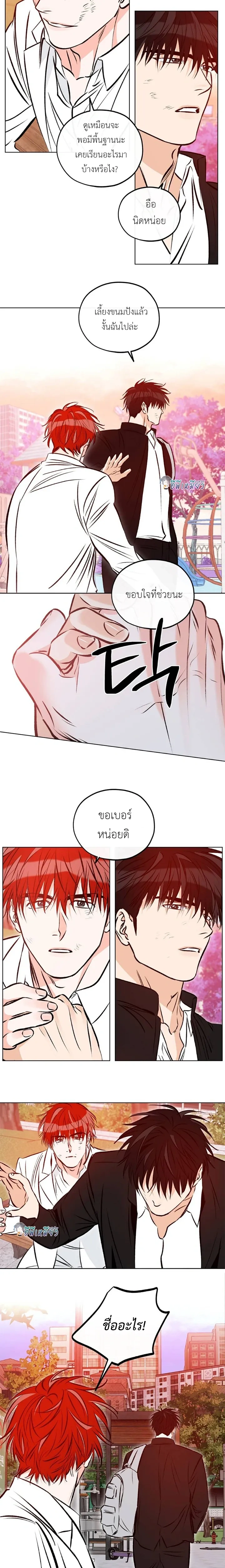 Love Order หน้า 7