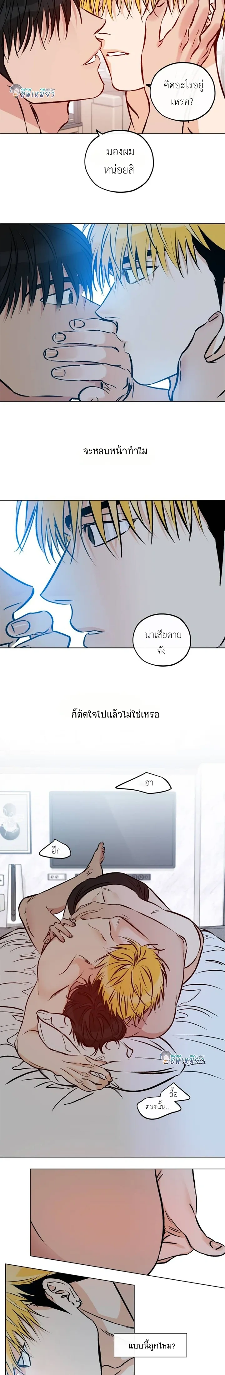 Love Order หน้า 11