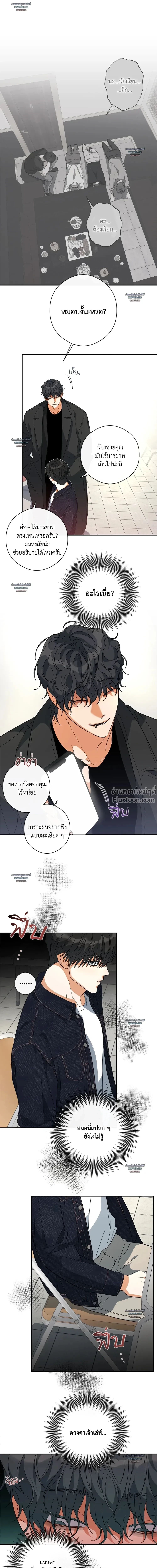 Half of Me หน้า 4