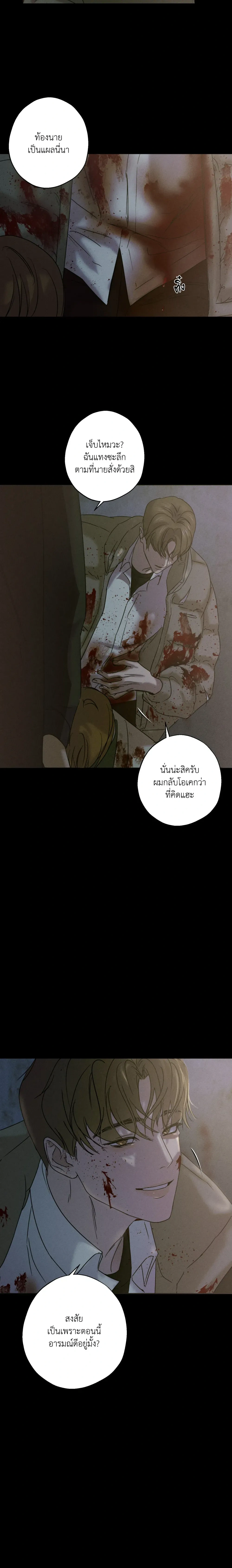 Hidden Love in Shadows หน้า 19
