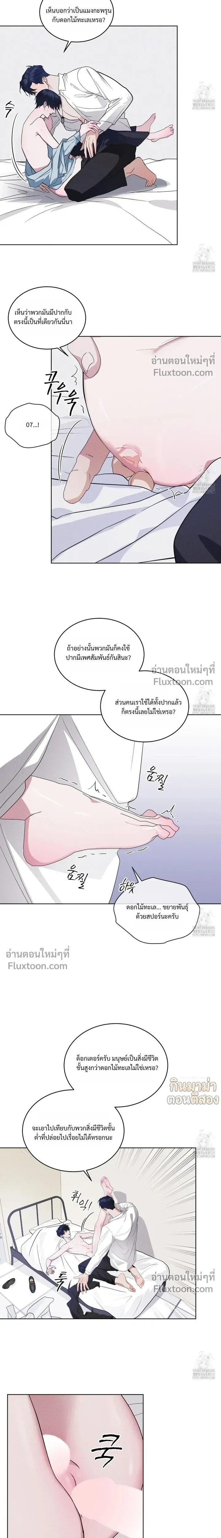 Rainbow City หน้า 4