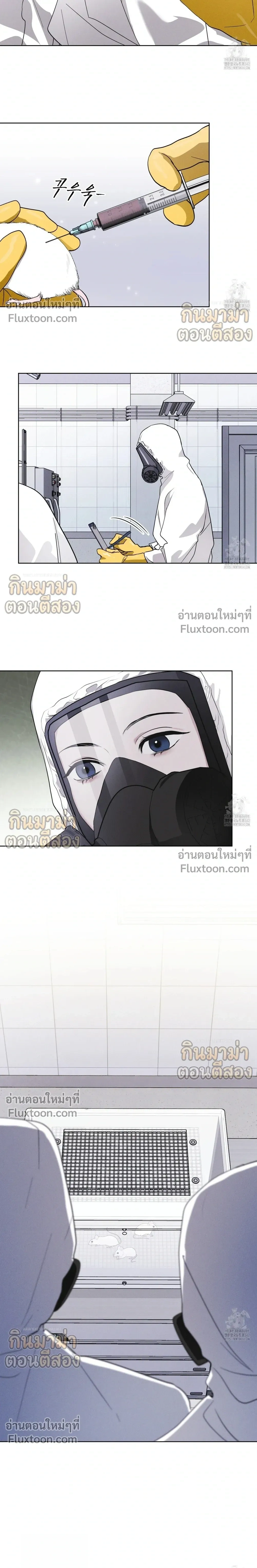 Rainbow City หน้า 14