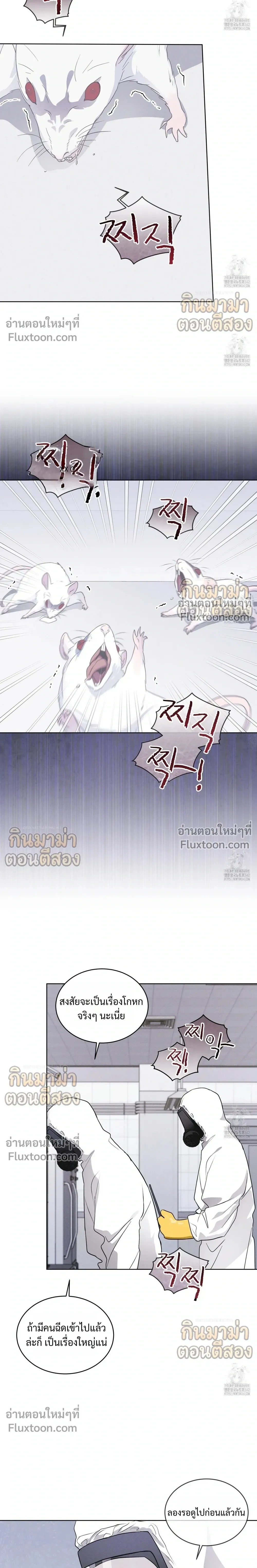 Rainbow City หน้า 15