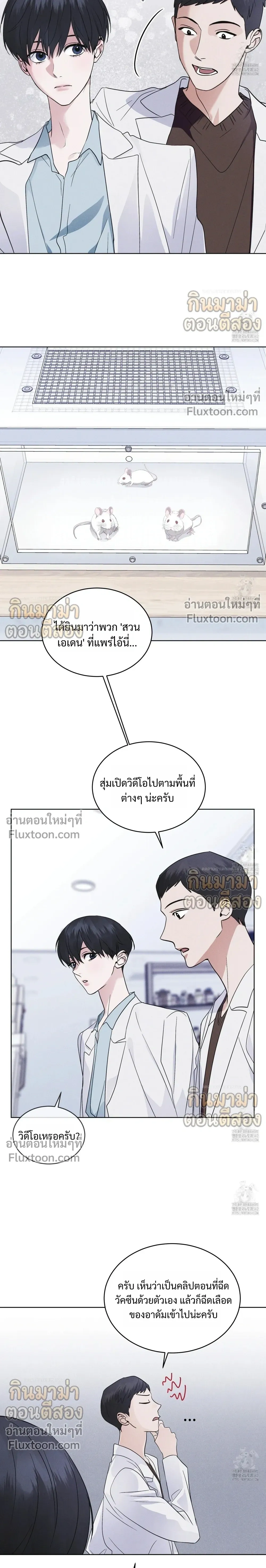 Rainbow City หน้า 5