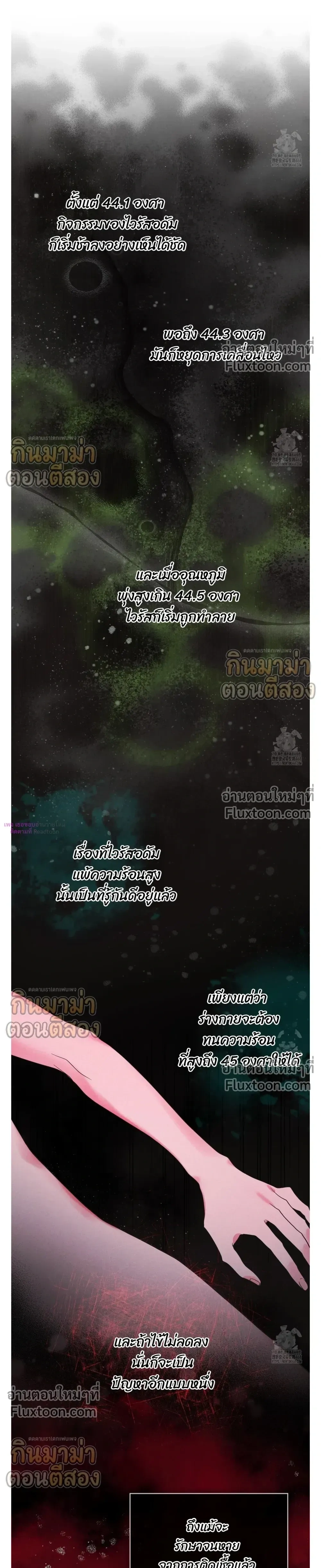 Rainbow City หน้า 2