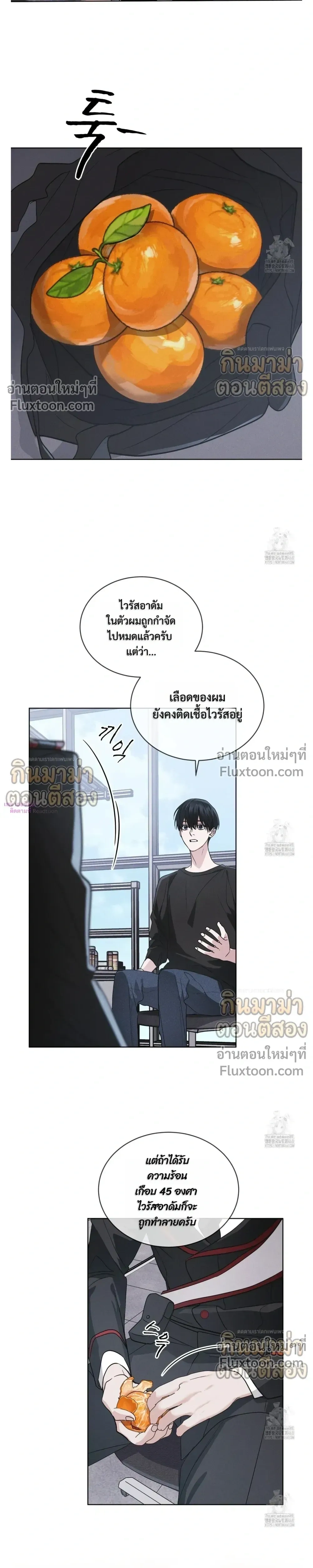 Rainbow City หน้า 8