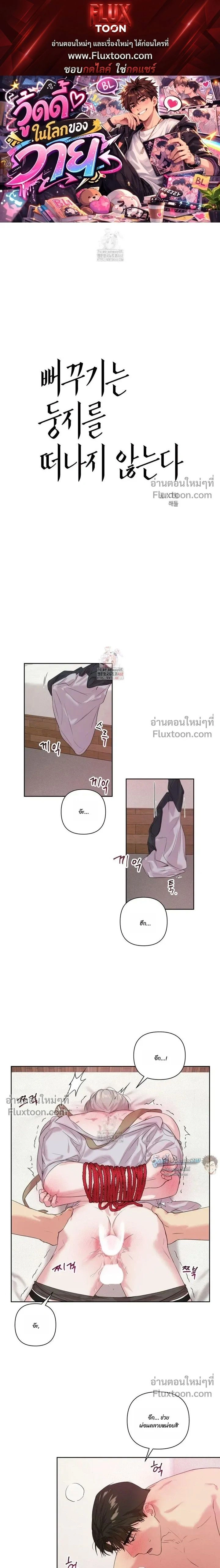 The One Who Never Leaves the Nest หน้า 1