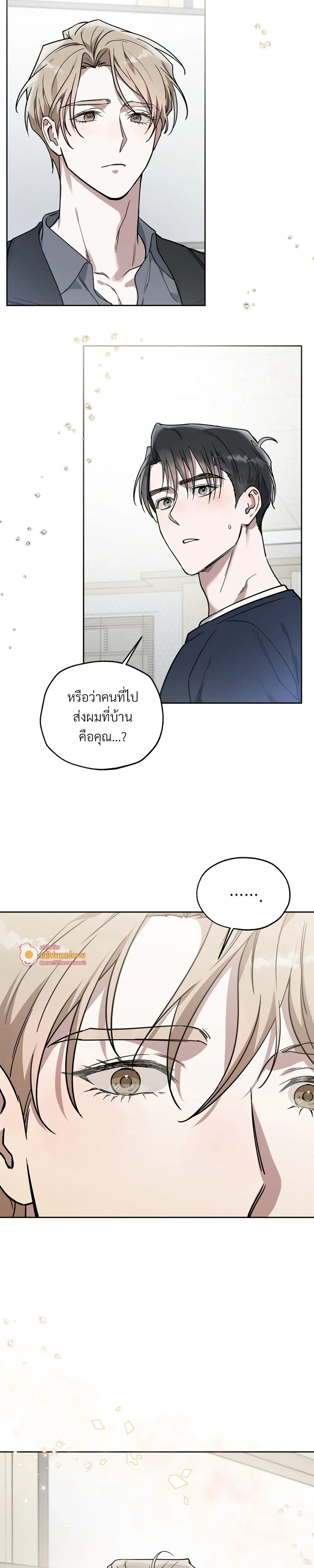 Alpine หน้า 19