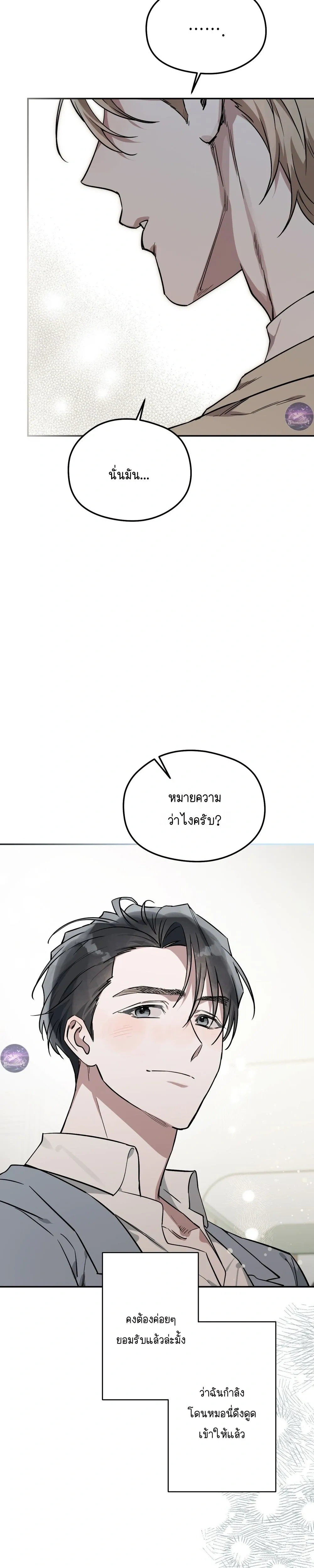 Alpine หน้า 9