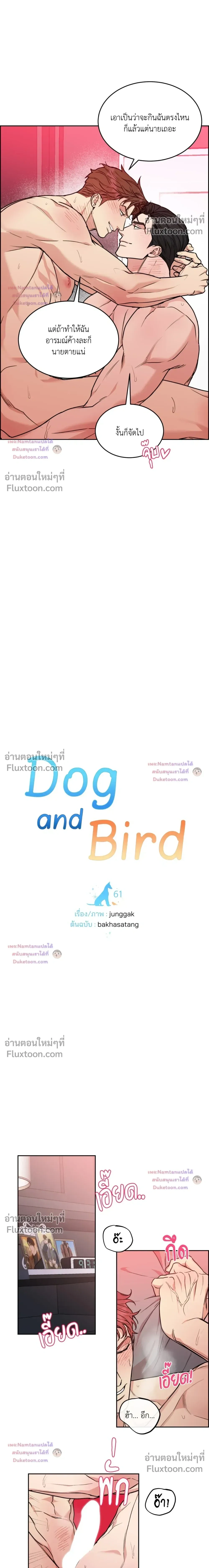 Dog and Bird หน้า 3