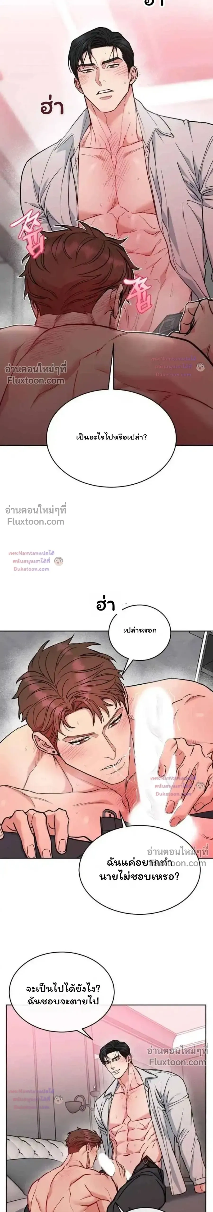 Dog and Bird หน้า 14