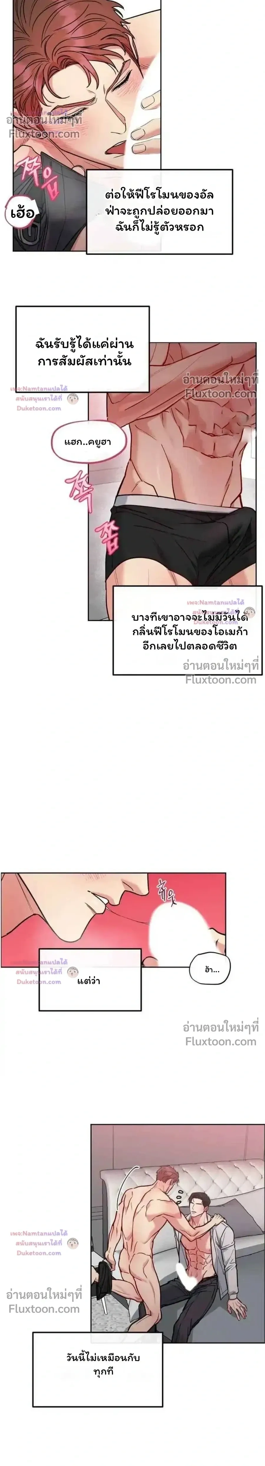 Dog and Bird หน้า 19
