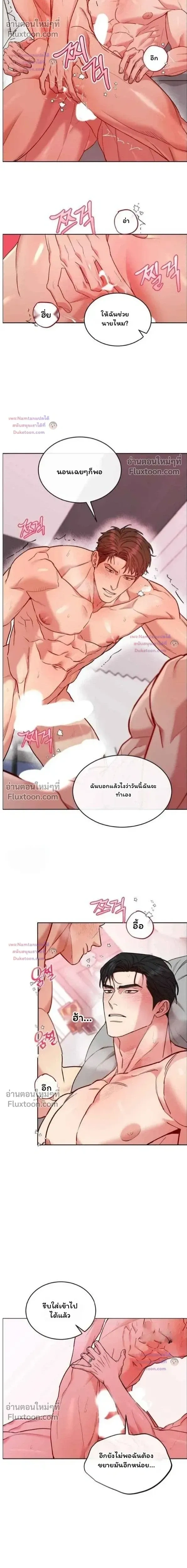 Dog and Bird หน้า 4